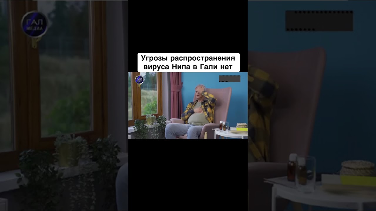 Угрозы распространения вируса Нипа в Гали нет