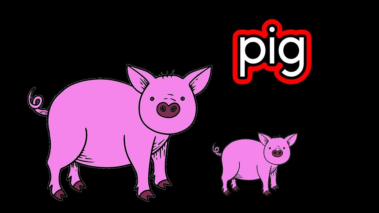 Pigs for CVI friendly video for children