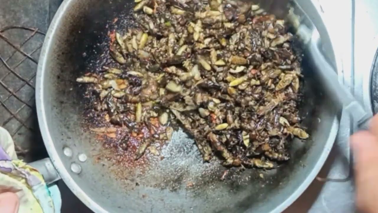 Ararawan!...Ganito ang masarap na luto ng ararawan.Exotic food.ALBERTO DULAY @AYNAWOW TV