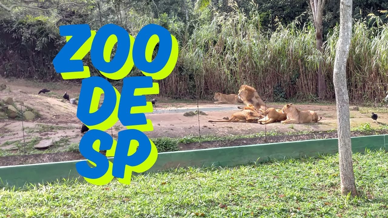 Zoo de SP