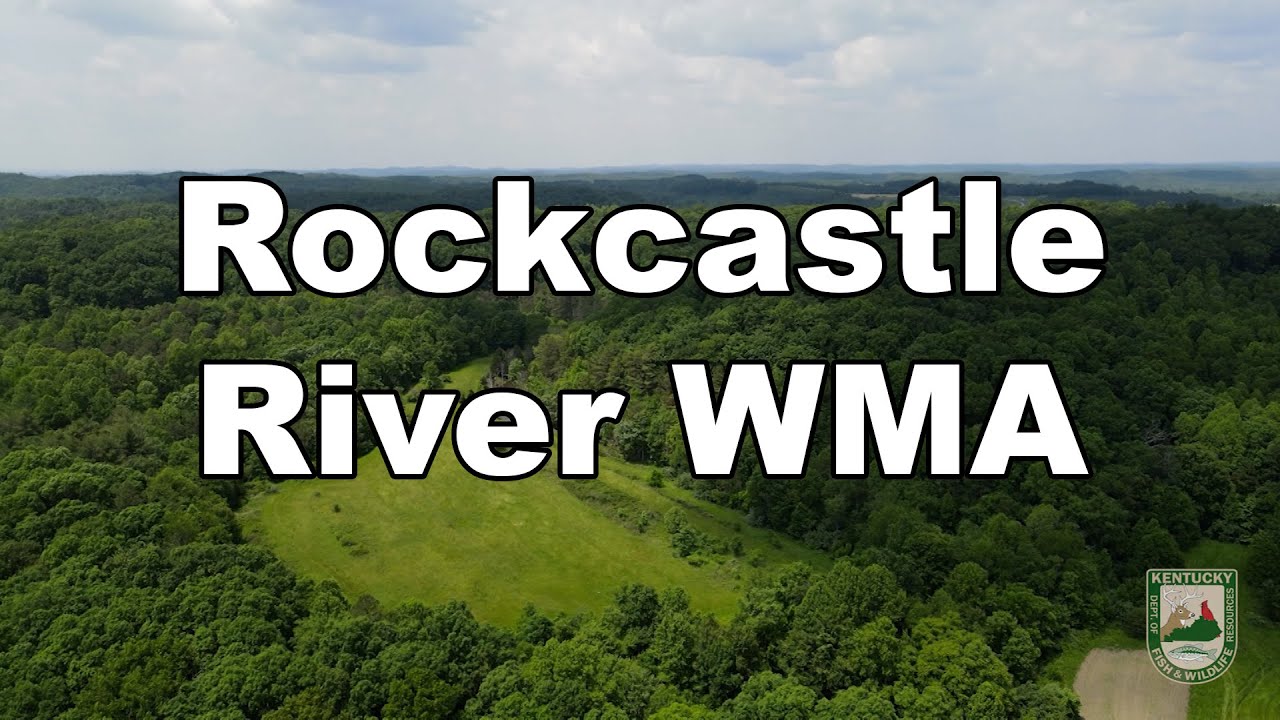 Rockcastle River WMA