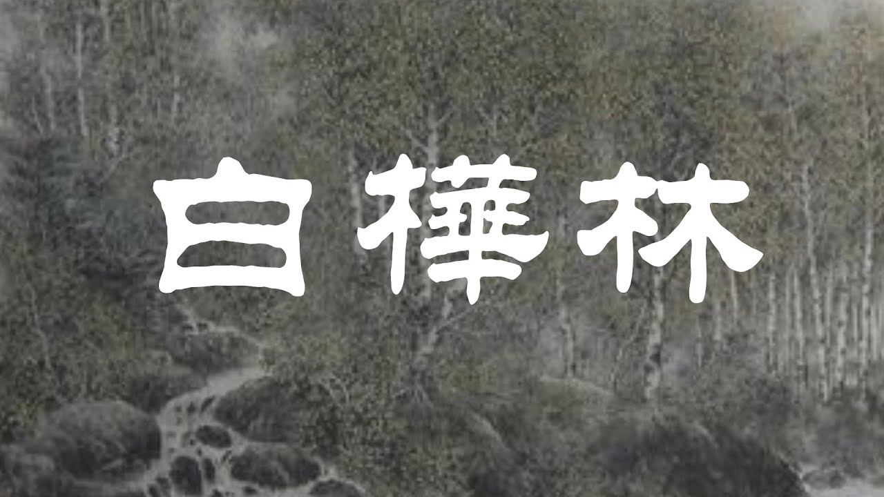 白樺林 - 陳敏中音
