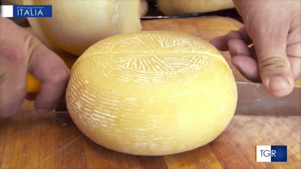 Le produzioni lattiero casearie di Pezzata Rossa dell'Azienda Savoia protagoniste su Rai 3