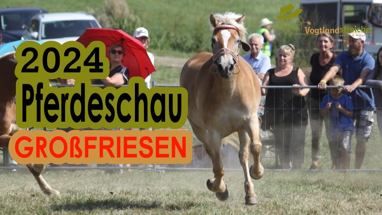 Pferdeschau  Großfriesen 2024 #pferde #pferdekutsche #pferdeshow