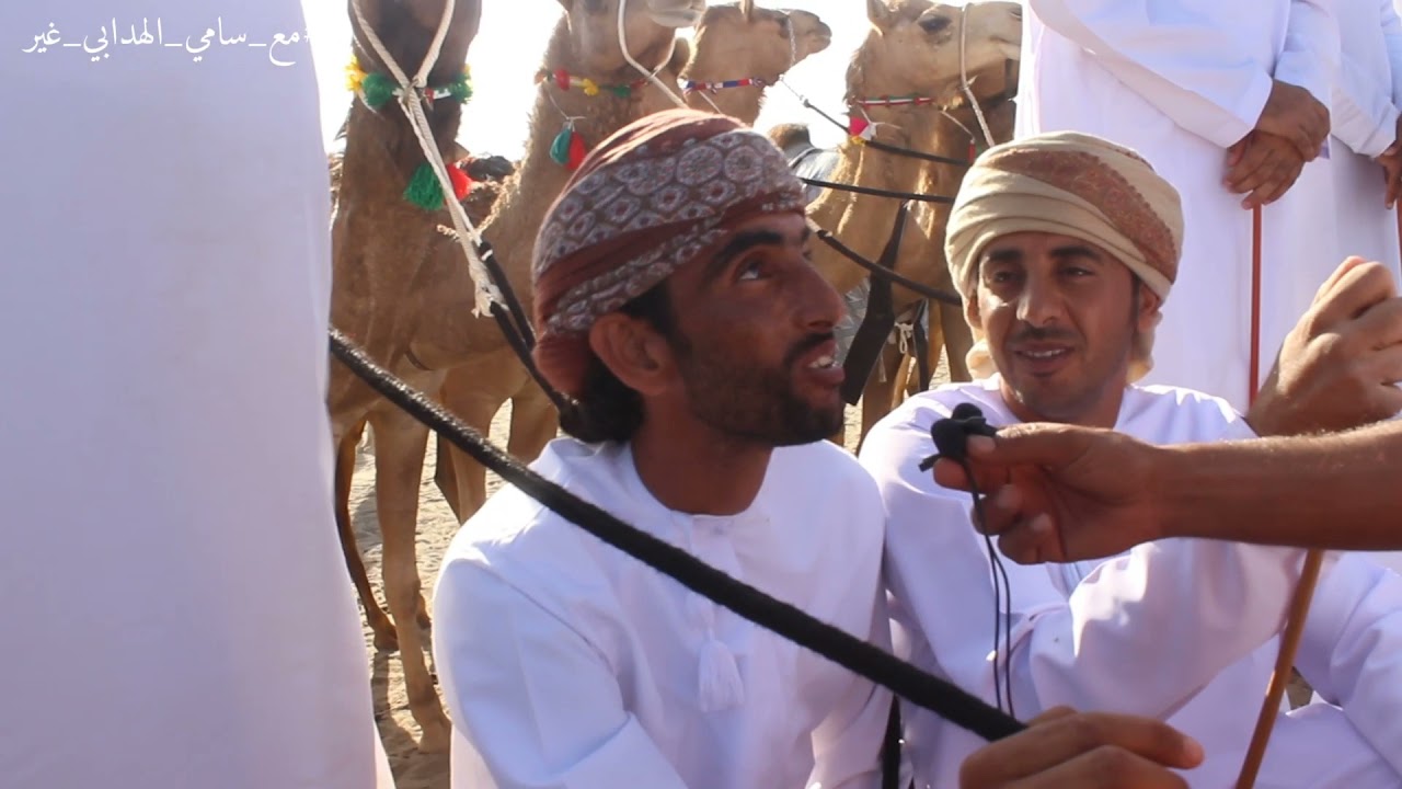 مركاض ميدان المغسر للهجن في ولاية المصنعة