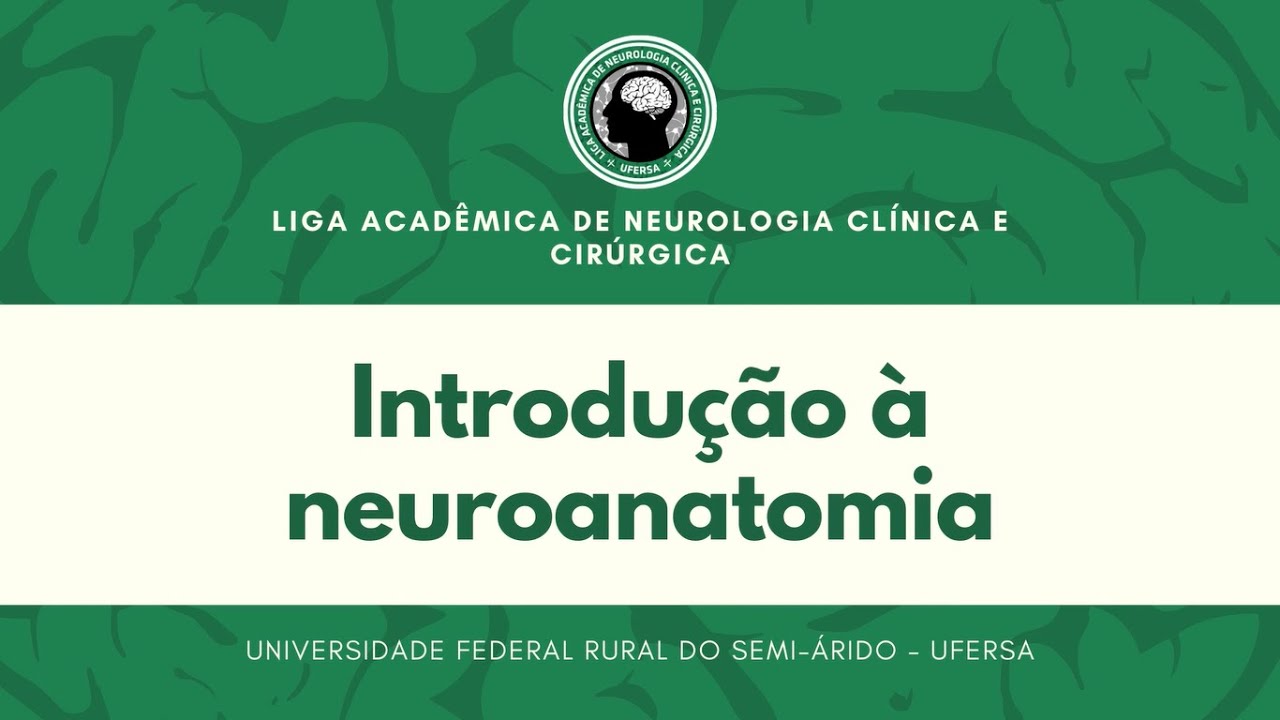 Introdução à Neuroanatomia: parte 01 - Aula 01 LANCC