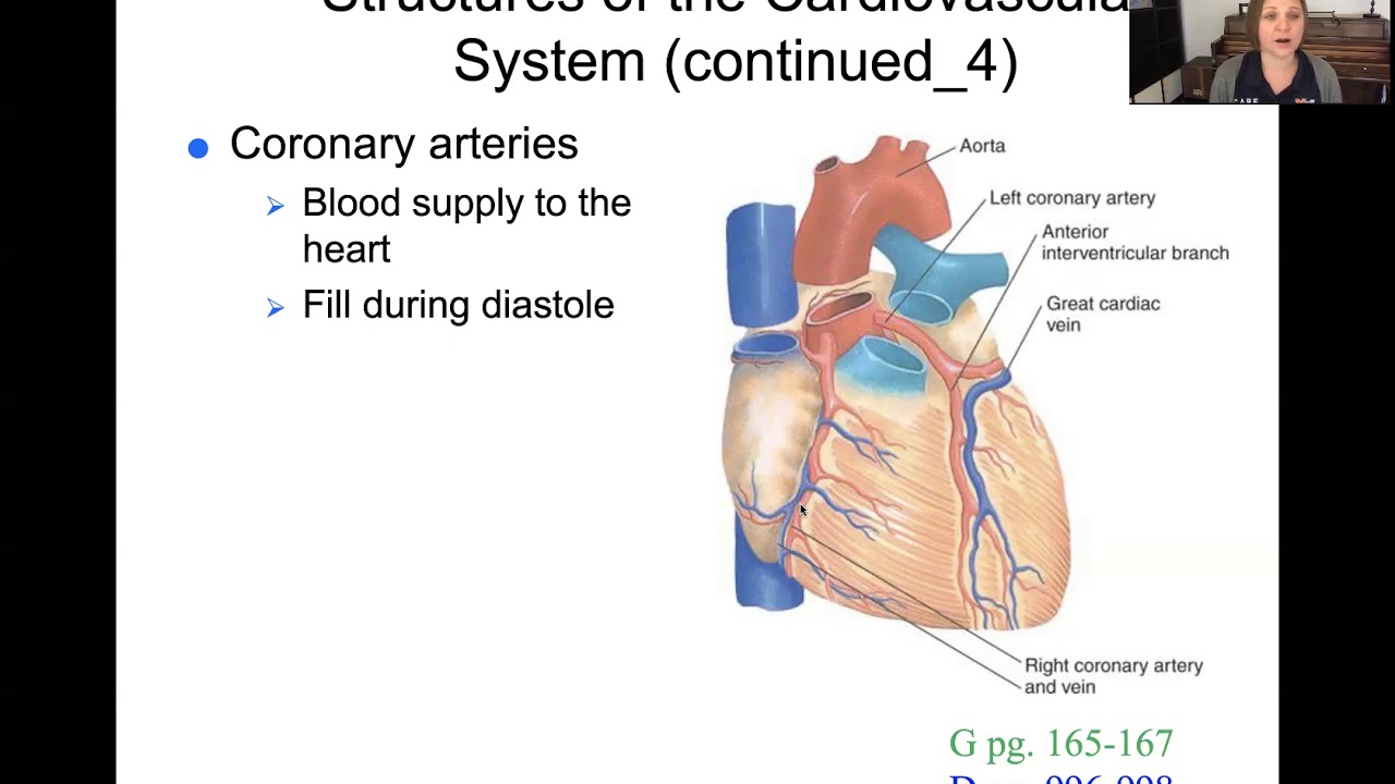 Perfusion Part 1 - 108 Fundamentals of Nursing II