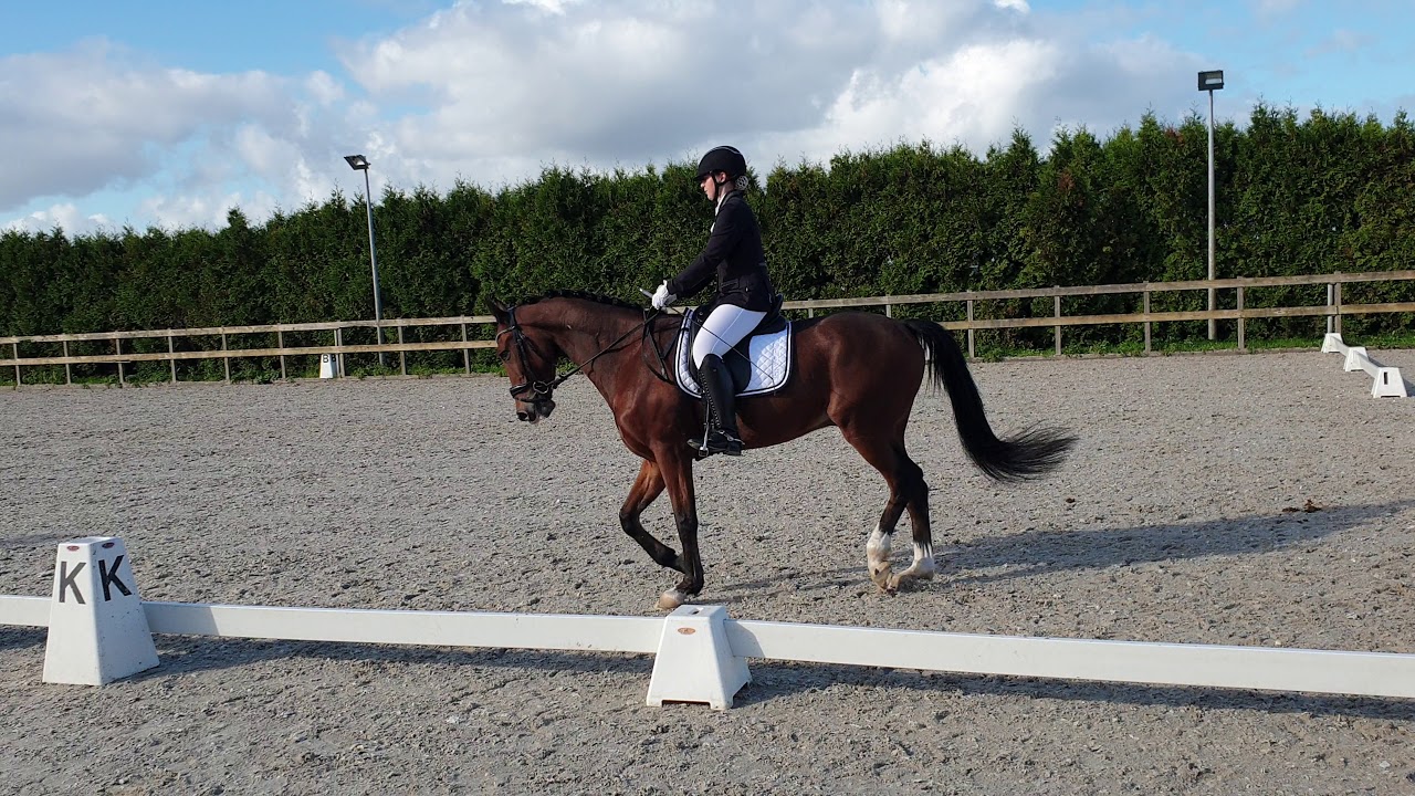 Team kanjer 3de proef stal groenewoude