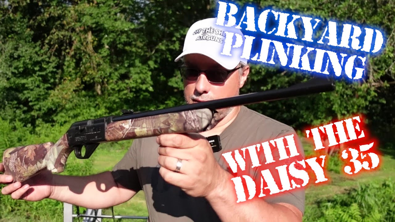 Backyard Plinking With The Daisy 35