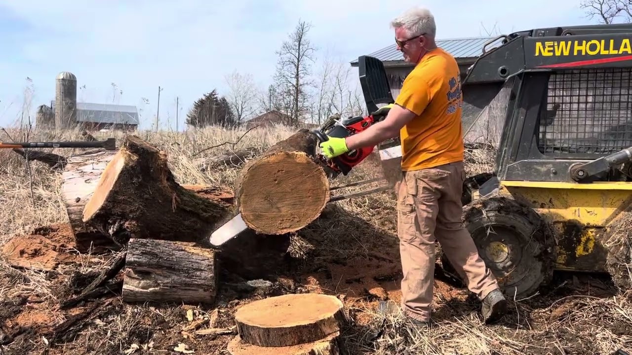 Echo CS1201 vs Stihl MS880 Magnum