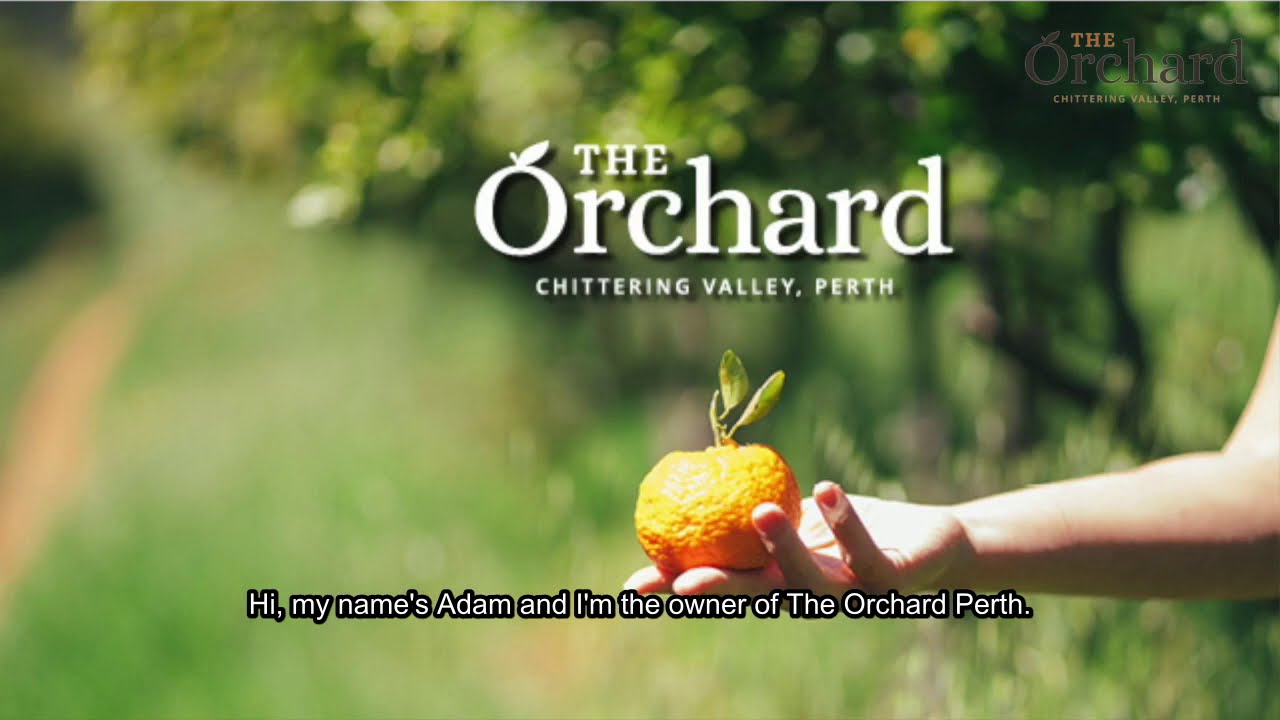 About The Orchard Perth