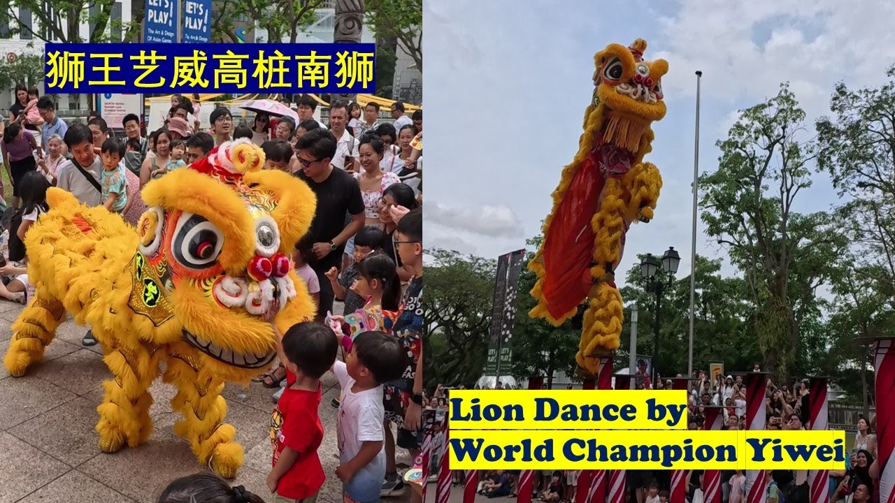 Acrobatic Lion Dance by World Champion Yiwei Athletic Association @Asian Civilisations Museum