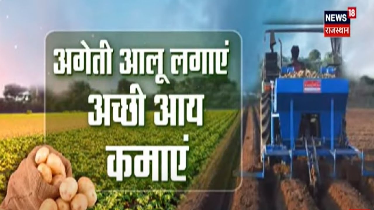 Annadata: अगेती आलू लगाकर कैसे कमाएं अच्छी आय ? Potato Farming |Potato Cultivation |Agriculture News