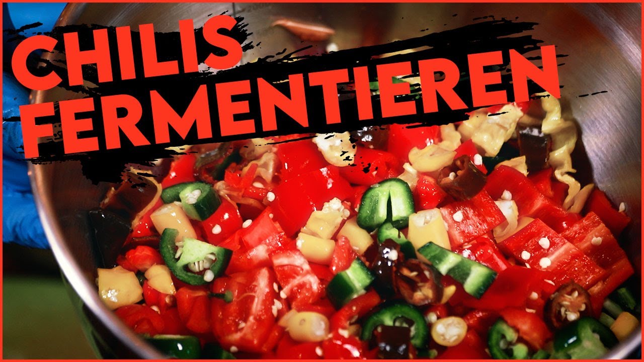 Chilis fermentieren & haltbar machen - So einfach geht's (Rezept)