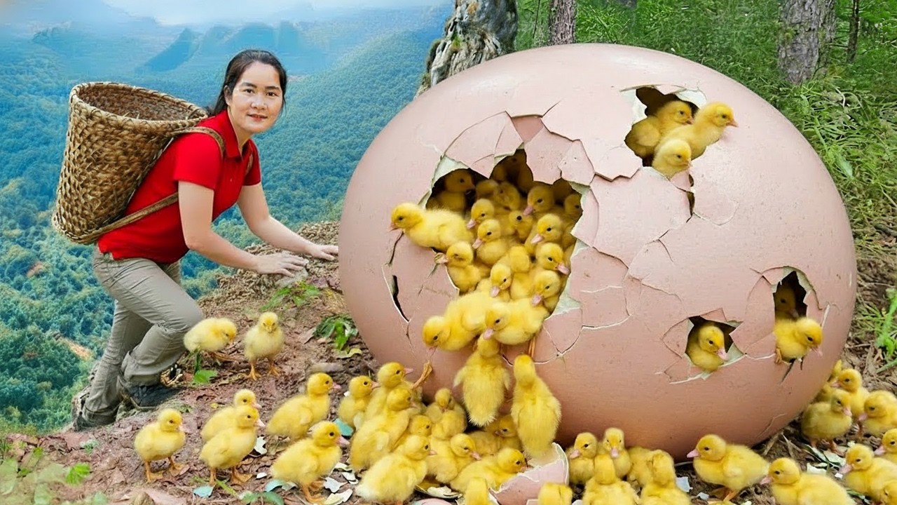 Harvest 1000+ Duckling and Mother Duck on a Harsh Cliff & Go to Market Sell | Survival In The Wild