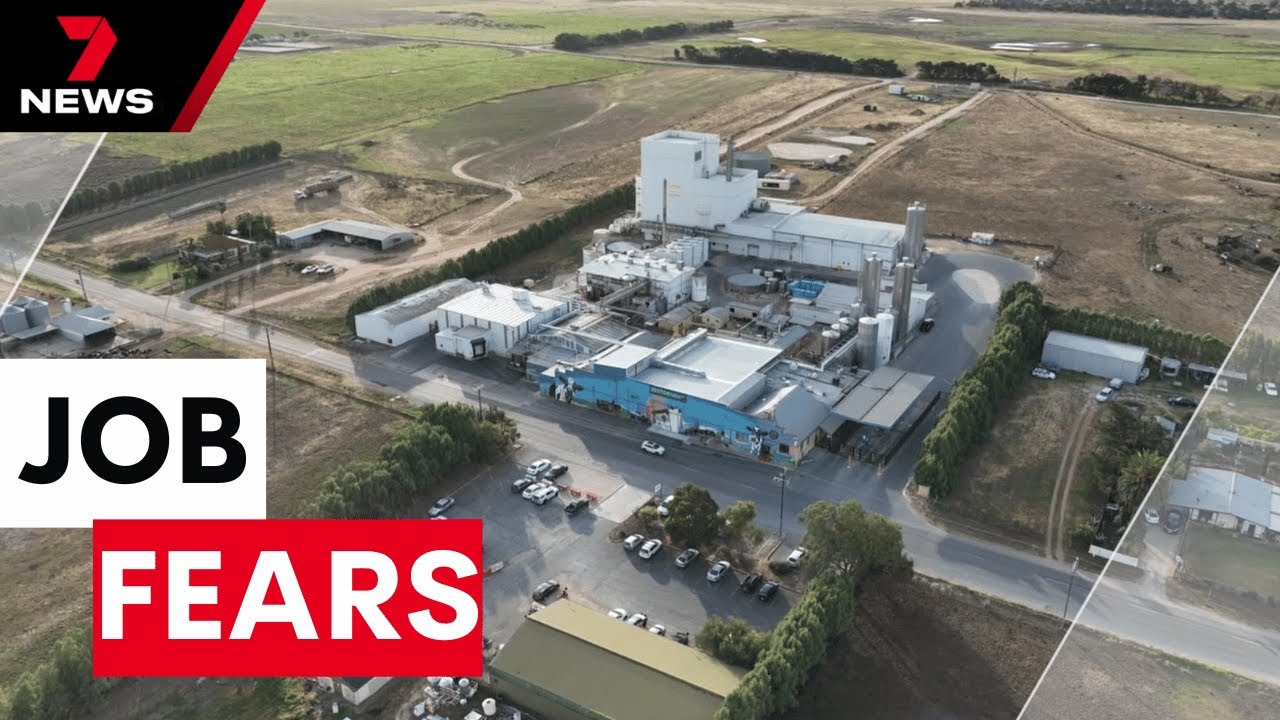 SA dairy farmers in limbo as Beston Global Foods collapses | 7NEWS