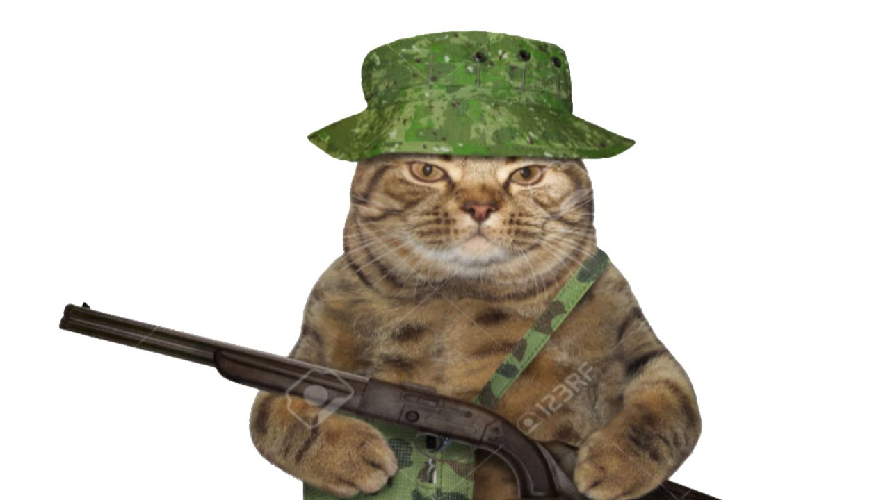 NEVER go HUNTING alone...