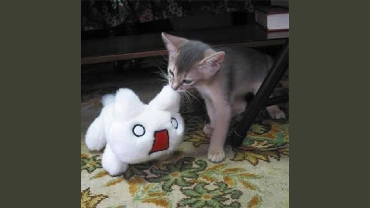 i dont feel the same without you!! :( (nazrin cover)