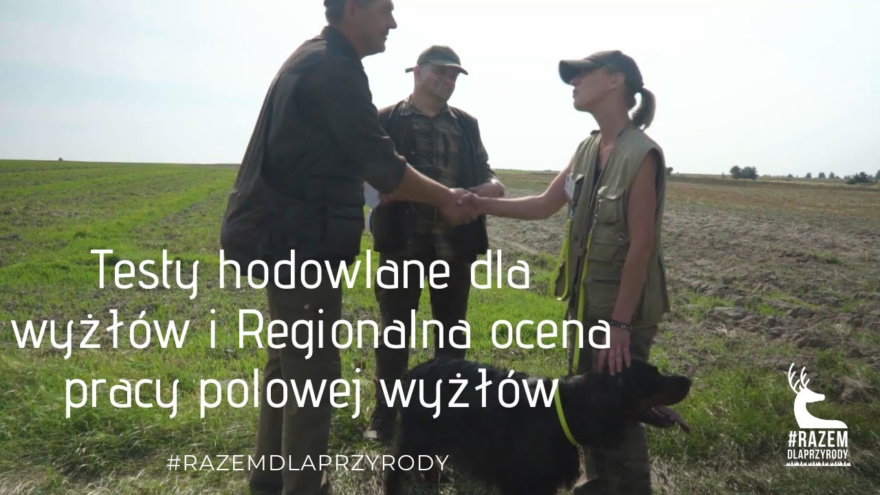 Testy hodowlane dla wyżłów i Regionalna ocena pracy polowej wyżłów w Lubartowie.