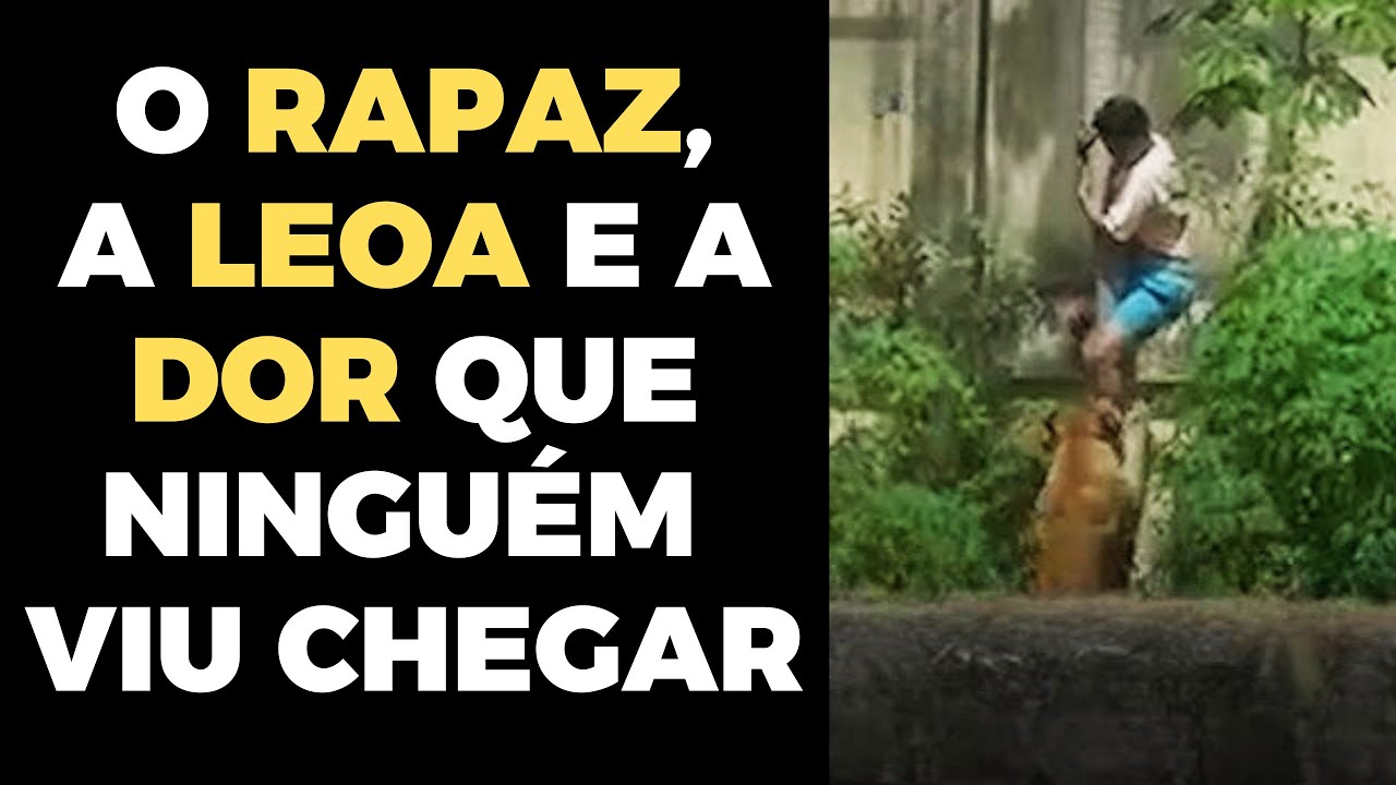 O CASO DA LEOA E DO RAPAZ EM JOÃO PESSOAL À LUZ DO ESPIRITISMO