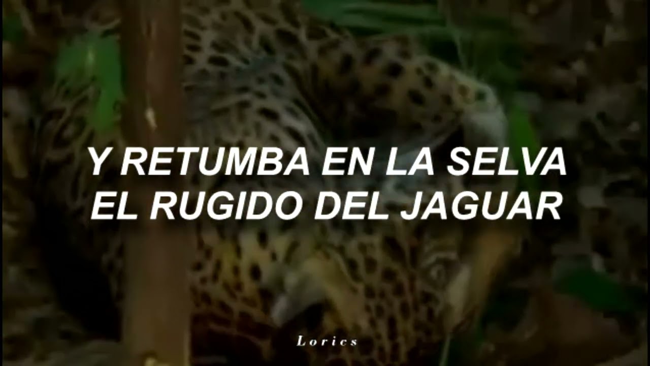 Jaguar - K'ala Marka (Letra)
