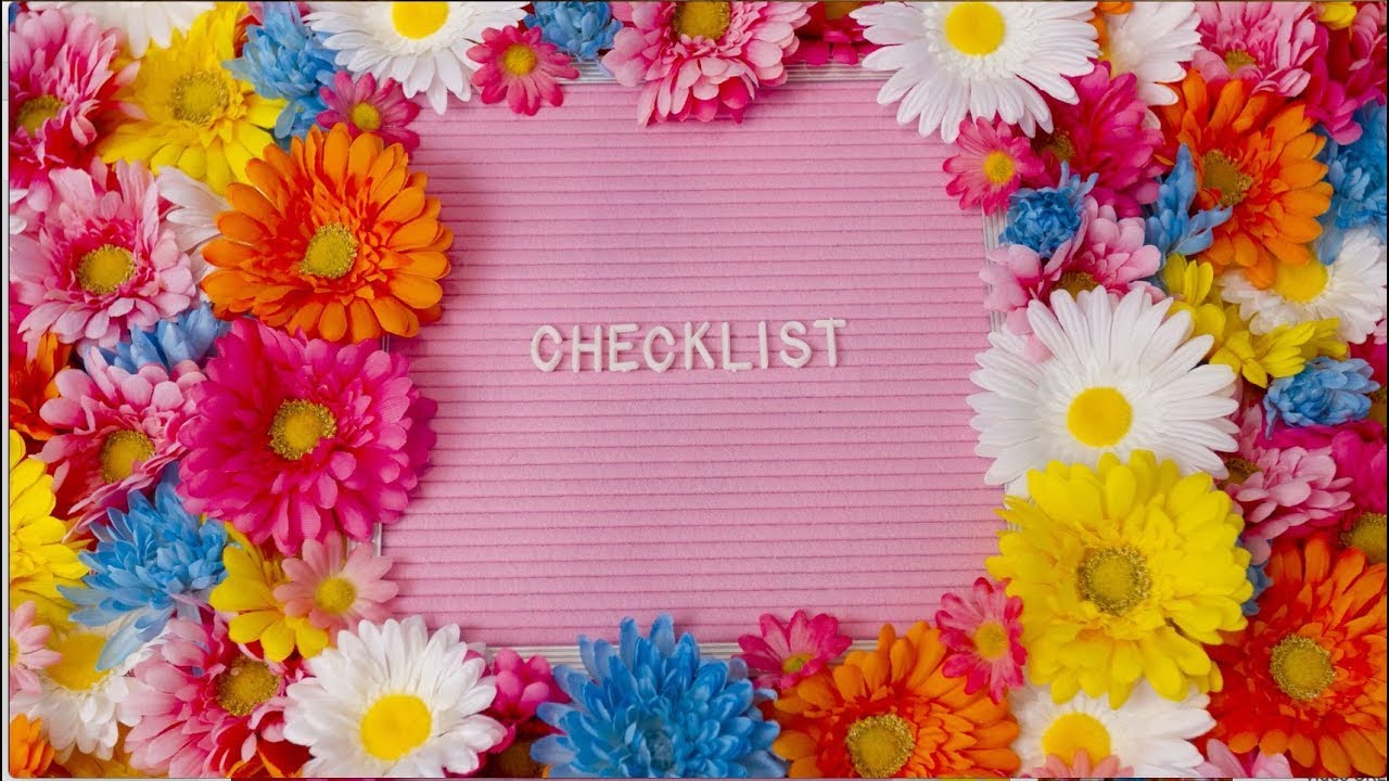 CHECKLIST (Lyric Video) Megan Nicole