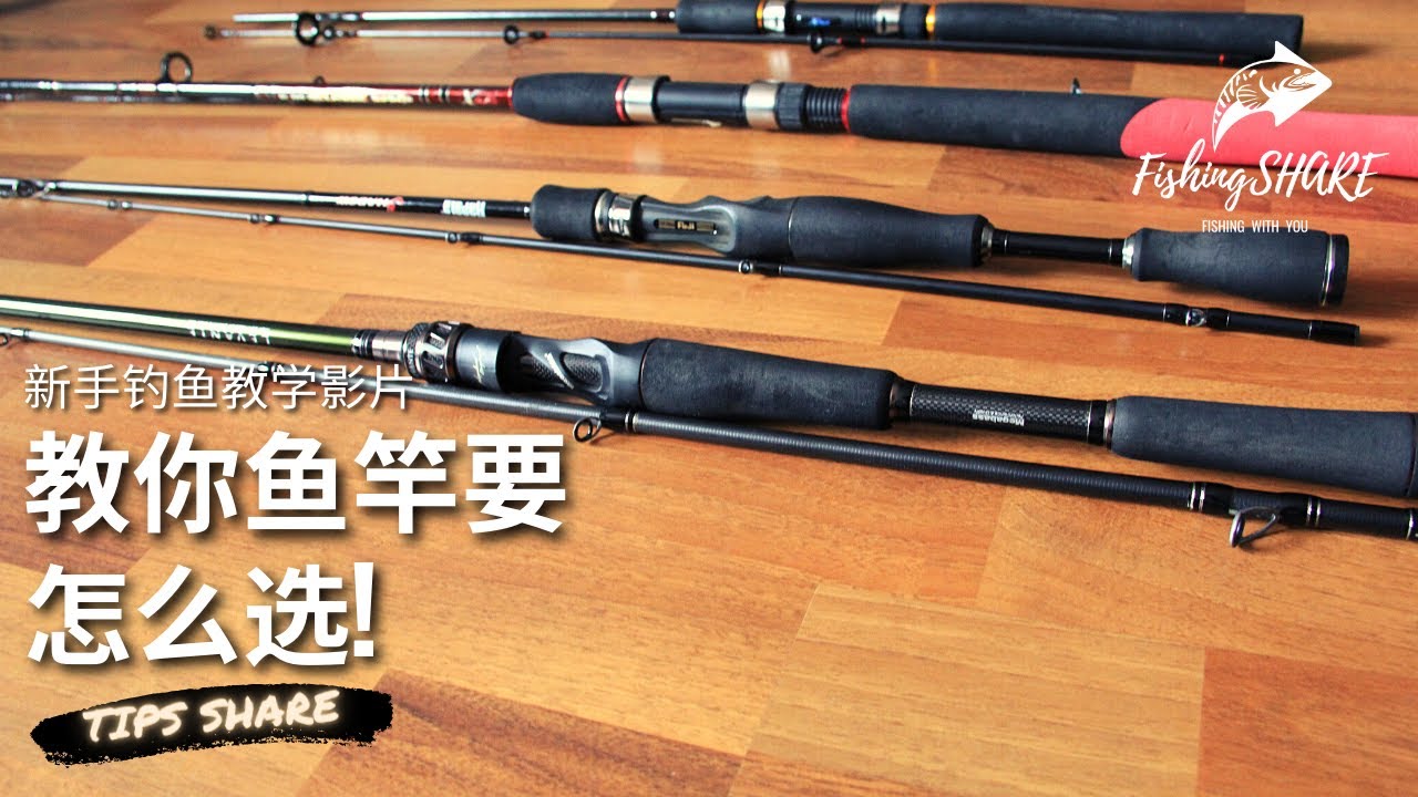 【FishingShare】教你鱼竿要怎么选！（新手钓鱼教学影片）|Teach you HOW TO CHOOSE FISHING ROD！（FISHING VIDEOS FOR BEGINNERS）