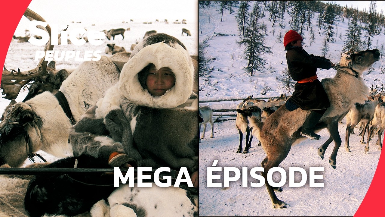 Vivre avec les rennes, de la Sibérie à la Mongolie I MEGA EPISODE | SLICE PEUPLES