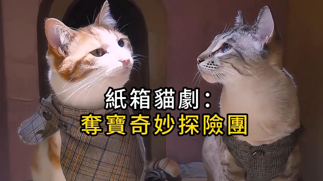 貓咪迷宮大挑戰｜紙箱貓劇：奪寶奇妙探險團