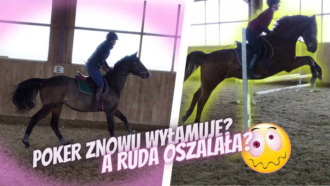 VLOG #103 |  POKER ZNOWU WYŁAMUJE? A RUDA OSZALAŁA?