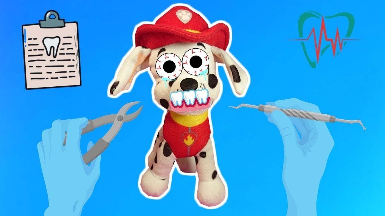 Marshall NO QUIERE IR AL DENTISTA! Patrulla Canina en español