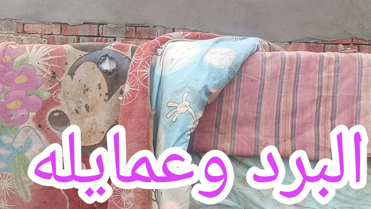 أنا لو قاعدة مستنياها مش هعرف أصورها والله 🙃 شوفوا رزق النهارده 🥳 وقلت أشجعهم بقى يمكن يفرحوني ⁉️