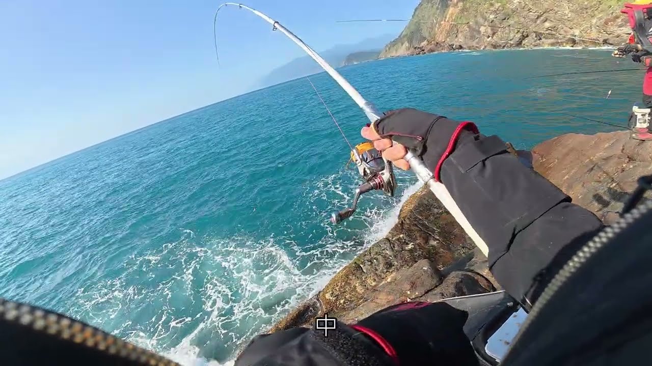 粉鳥林上礁咯．#磯釣 #fishing