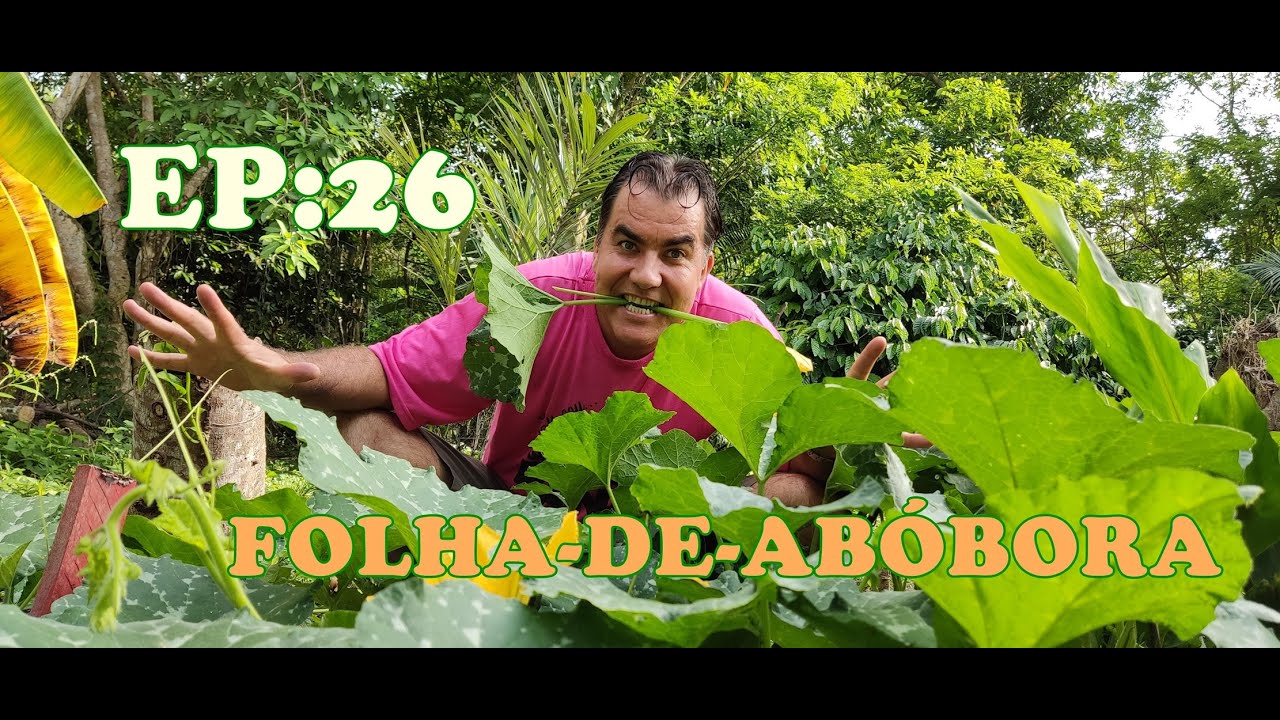 EPISÓDIO 26 - FOLHA DE ABÓBORA | #pancnaveia #valdelykinupp