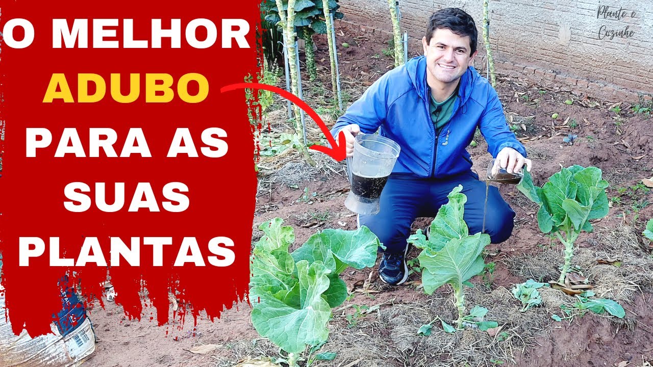 ADUBO ESTERCO LÍQUIDO, como fazer, quais as VANTAGENS, como usar nas PLANTAS e no VASO (Ep221)