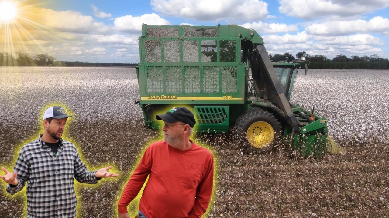 Upgrading Our Old 9996 Cotton Picker To A New CP 770