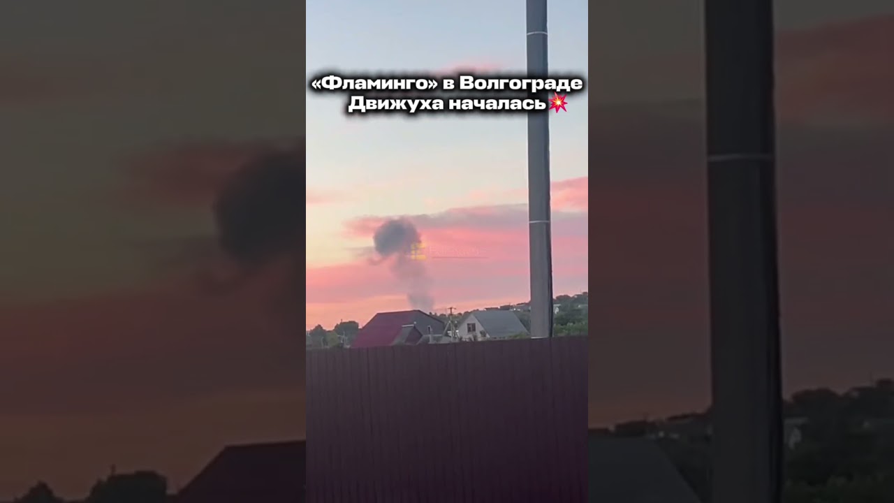 &laquo;Фламинго&raquo; в Волгограде! Движуха началась💥