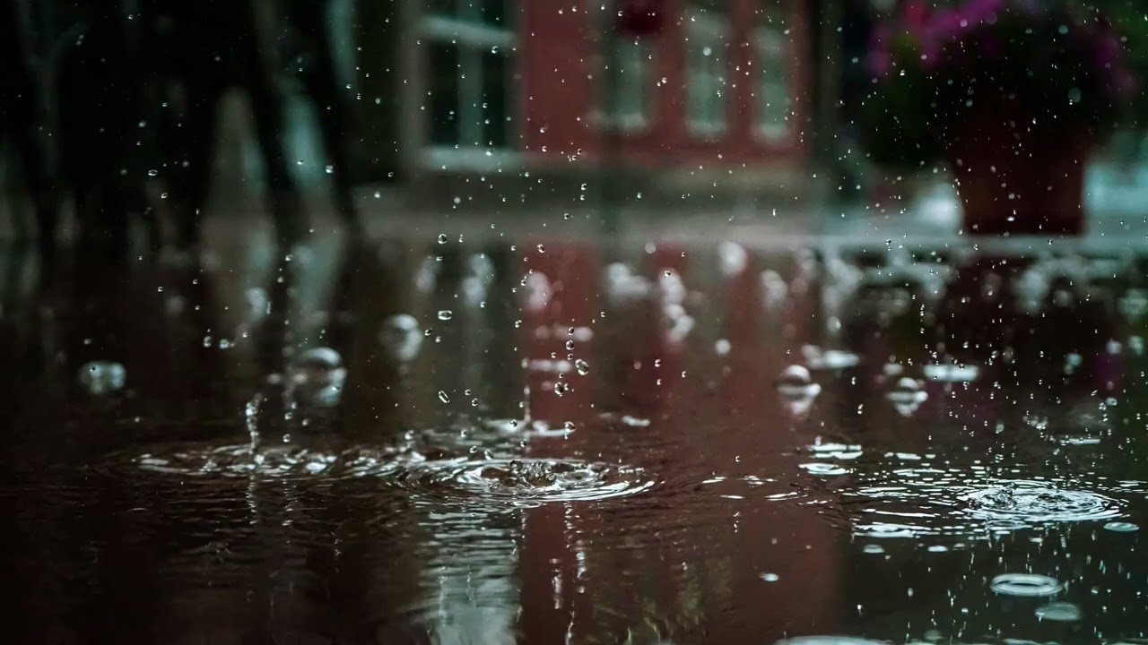 Fall asleep Fast with Light Rain on Wet Street |Light Thunder| 2 hours