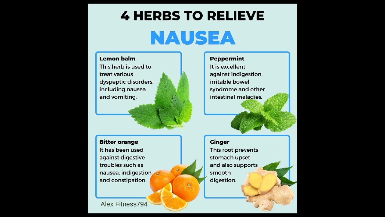 4 herbs for nausea #healthandfitness #foryoupage #shorts