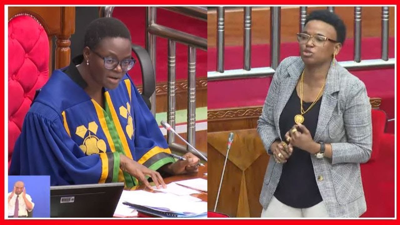 MTIFUANO MKALI wa HALIMA MDEE na SPIKA TULIA BUNGENI, WABISHANA KWA VIFUNGU VYA SHERIA ISHU YA DPW