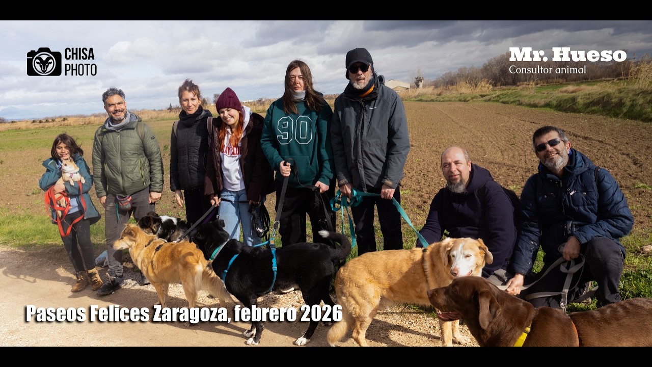 Paseos Felices Mr. Hueso Zaragoza, febrero 2026