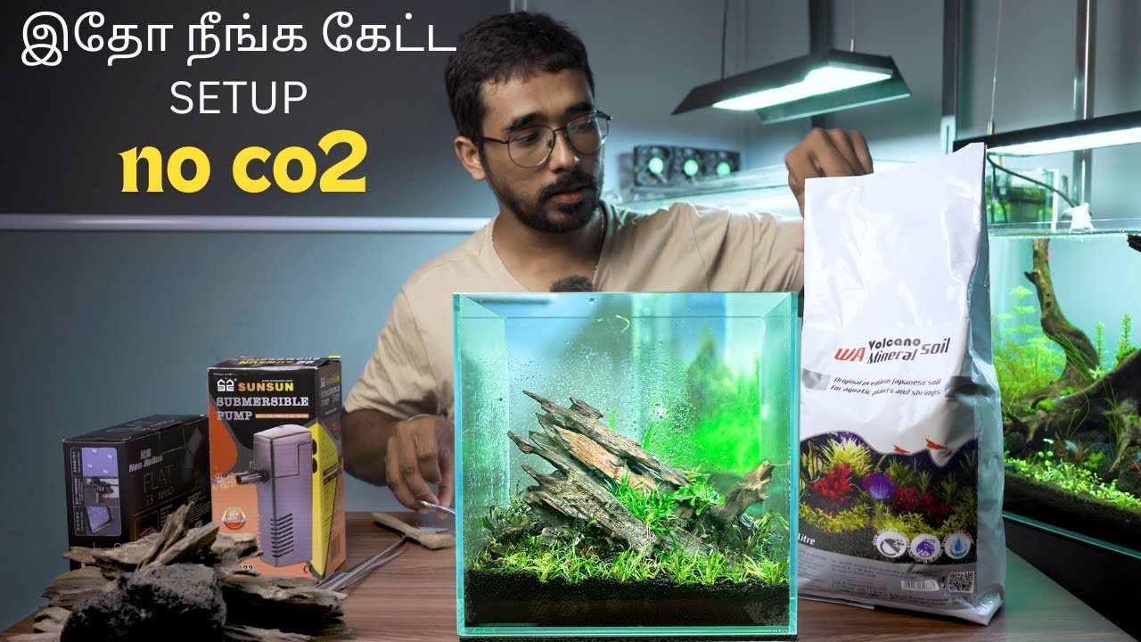 ❌ DON'T NEED CO2 ❌ FOR THIS SETUP | Easy Nano Tank | Ep 262 | Tamil |