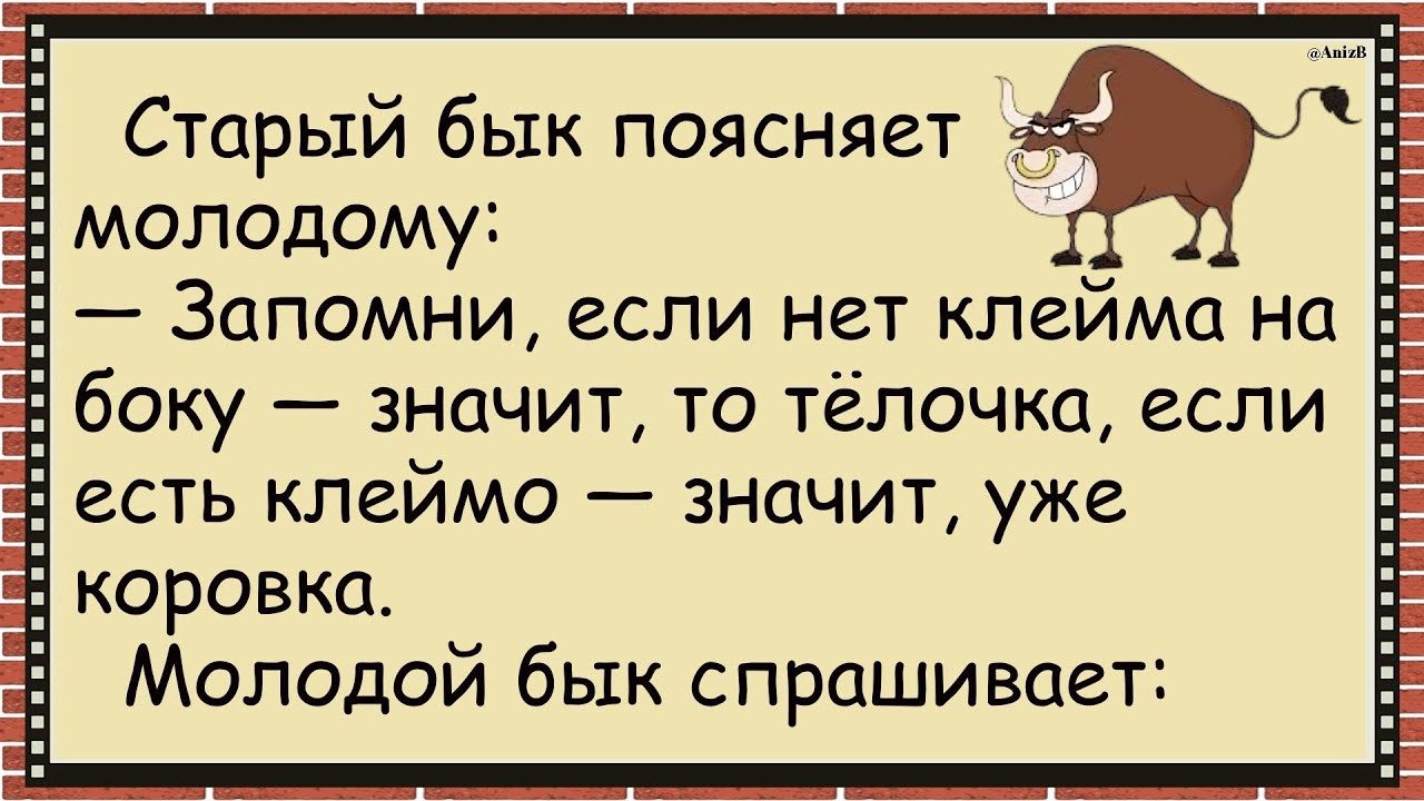 /🐸/ Старый БЫК молодому НЮАНСЫ. Сборник свежих анекдотов! ✅Анекдот! #юмор #смех