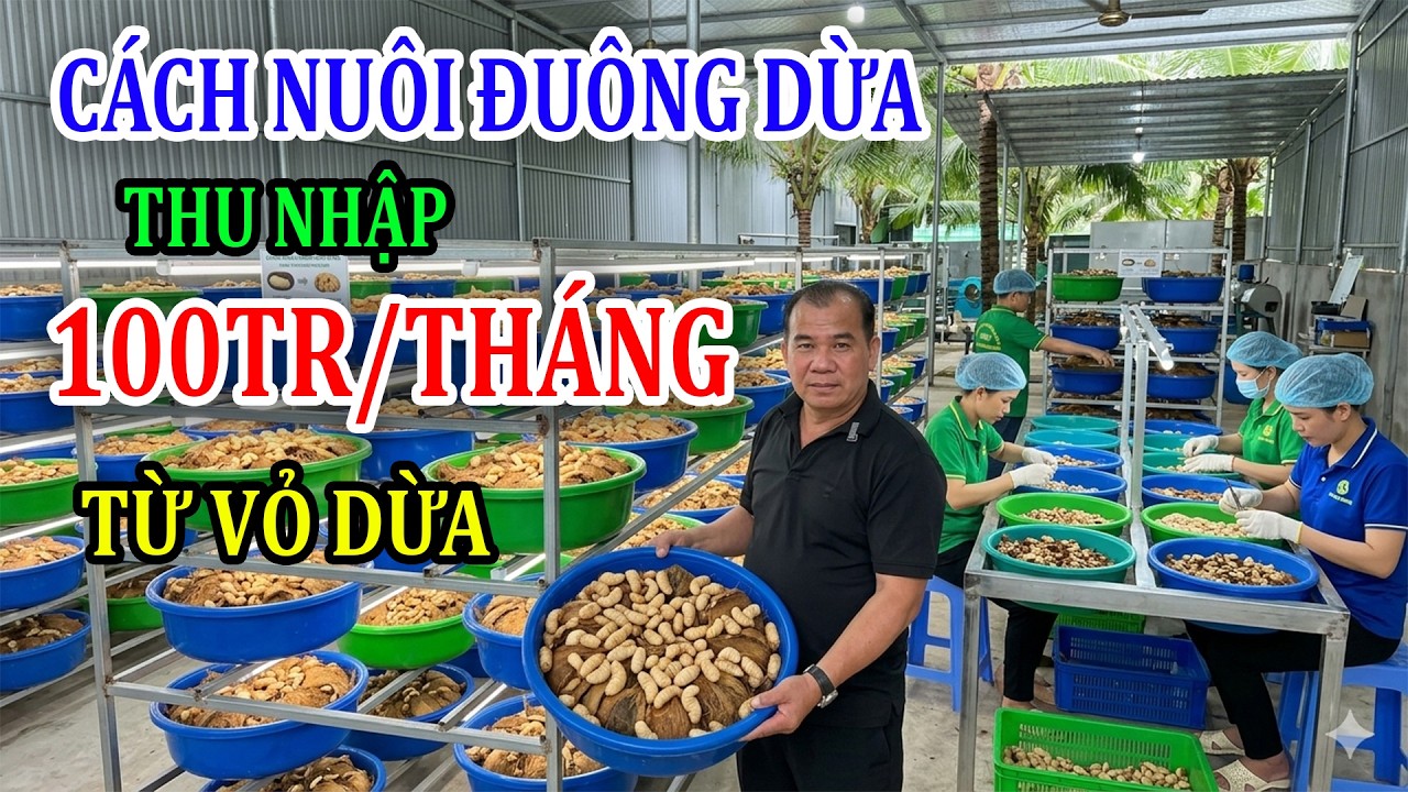 Cận Cảnh Trang Trại Đuông Dừa Lớn Nhất Miền Bắc/Hướng Dẫn Cách Nuôi Đuông Dừa Thu Nhập100tr/Tháng