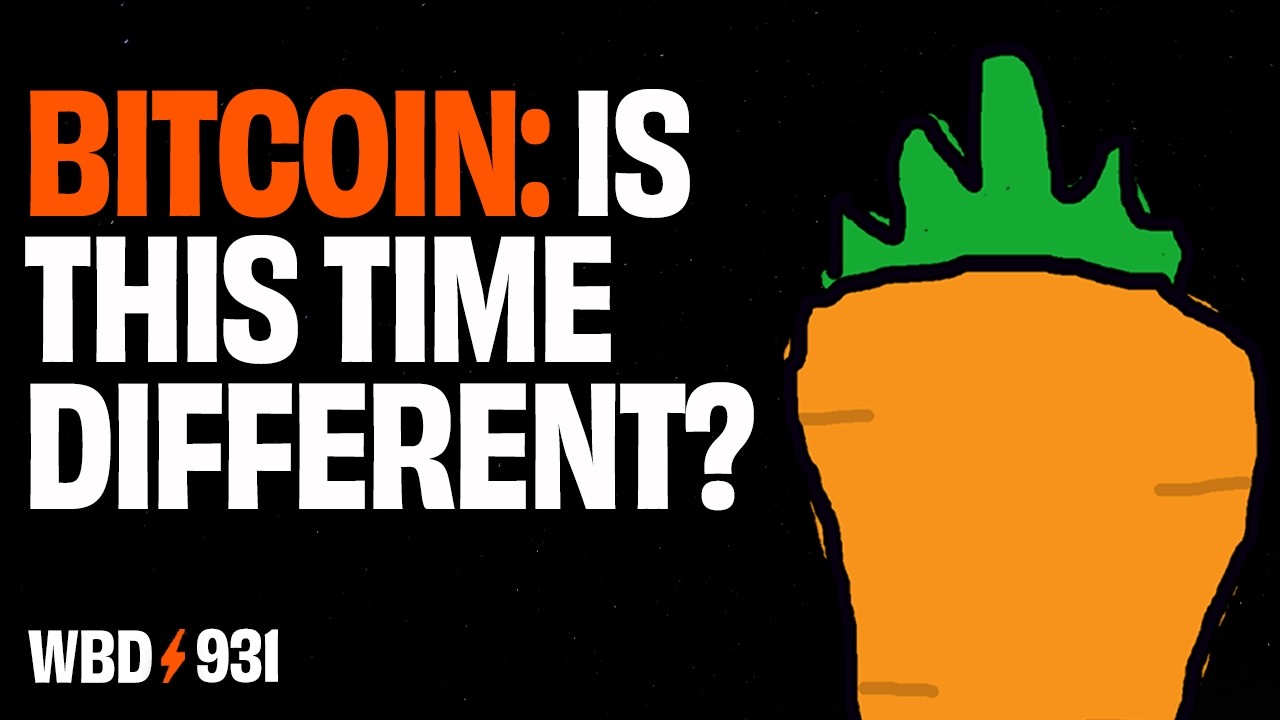 Bitcoin All Time High: Has the Cycle Broken? | Rational Root