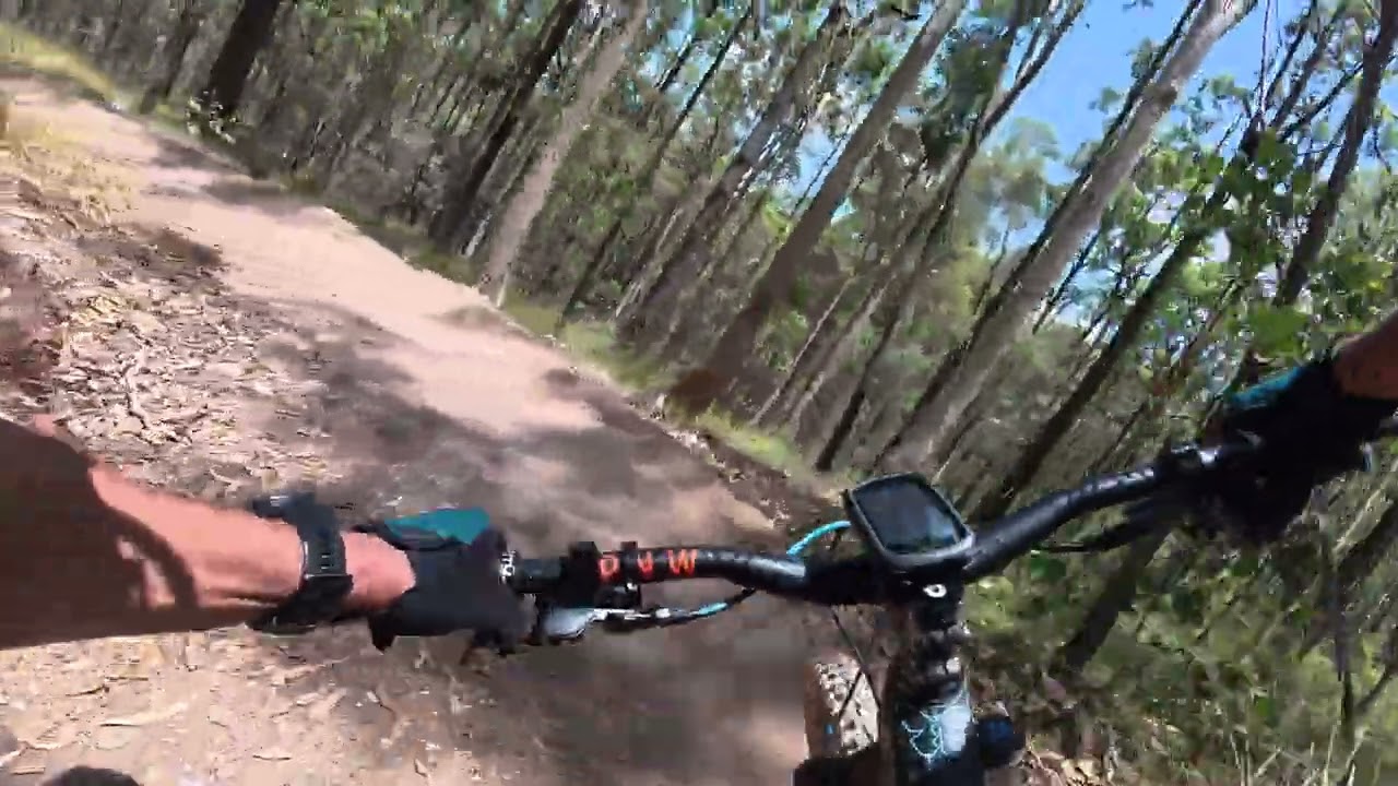 #5 Daisy Hill Mountain Bike Trails (Chipline Trail) In Queensland Australia.