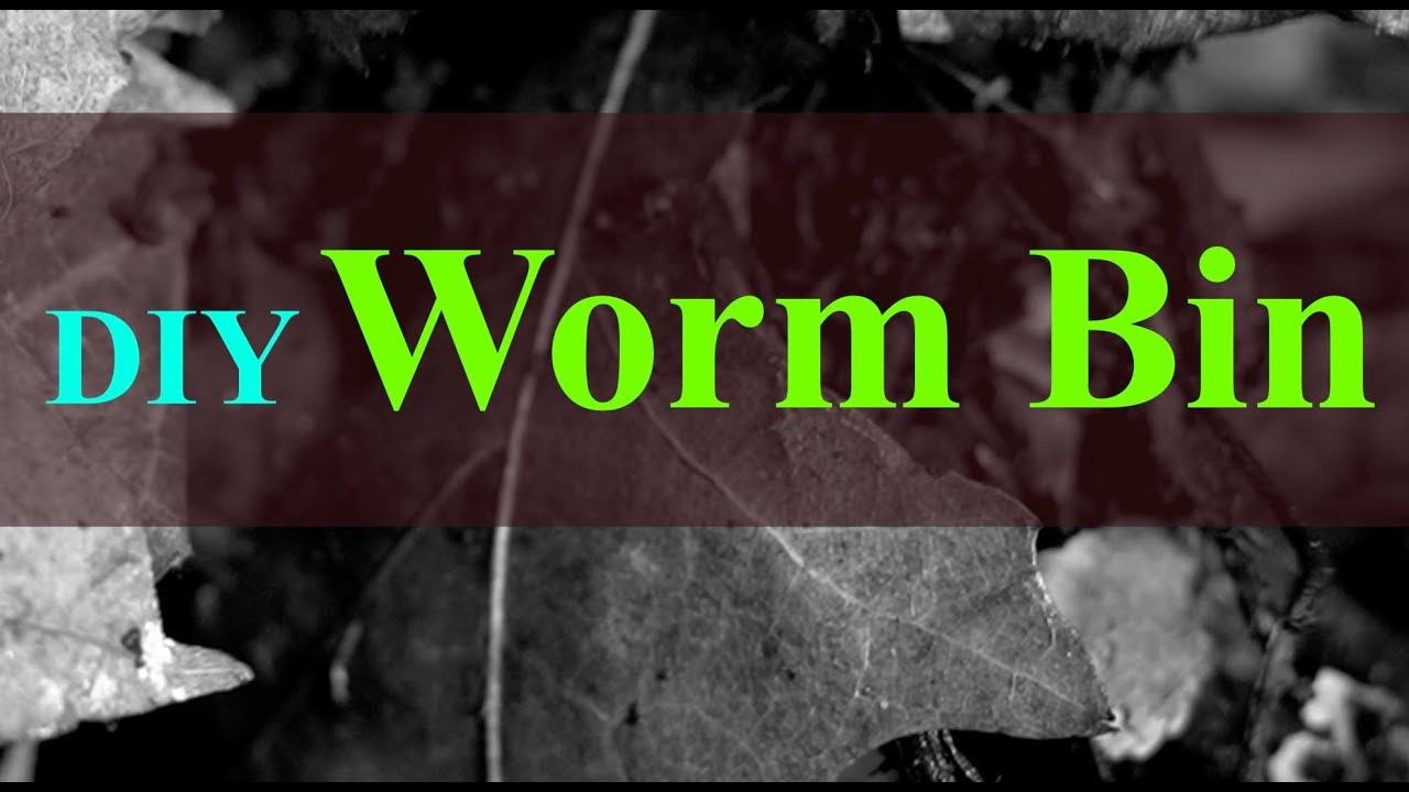 Vermicomposting 101: How to Create & Maintain a Simple Worm Bin (2024)