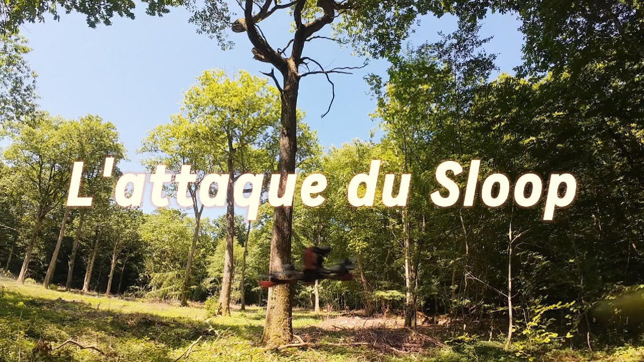 FPV : L'attaque du Sloop