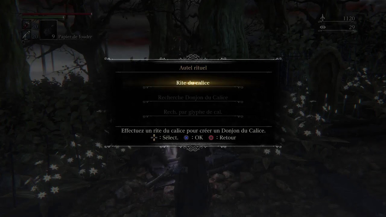 Bloodborne ps5 #6