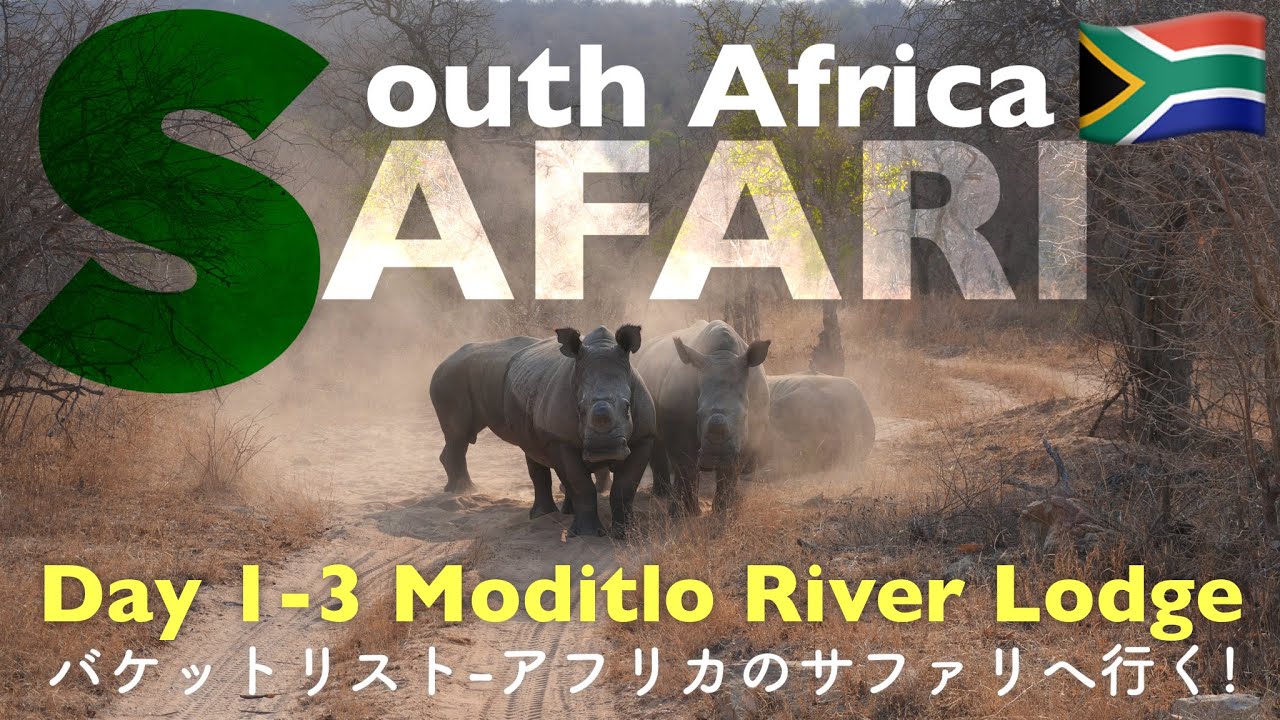 【南アフリカVlog】初めてのアフリカ、夢のサファリ！①Moditlo River Lodgeで過ごす2泊3日｜Big Five🦁🐘🐆🐃🦏